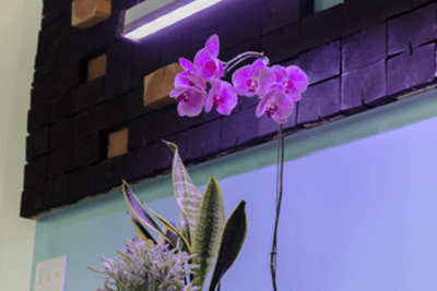 First Open Source Tunable Spectrum Grow Light launched by FAUST Lighting