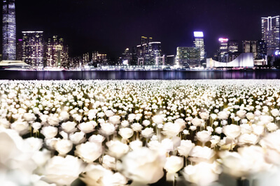Light Rose Garden, Hong Kong