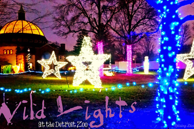 5 Million Twinkling LED lights Kick-start the Holiday Season at the Detroit Zoo