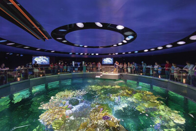 New England Aquarium Boston