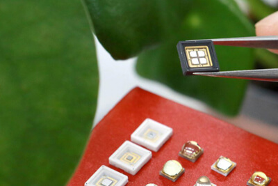 LG Innotek Introduces Full Range of ‘Horticulture LEDs’ to the Market
