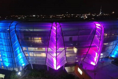 Eden Park Sports Stadium in New Zealand Gets Revamped