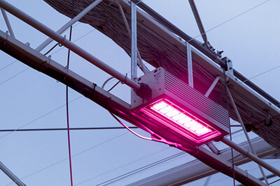 Oreon Introduces New LED Fixture