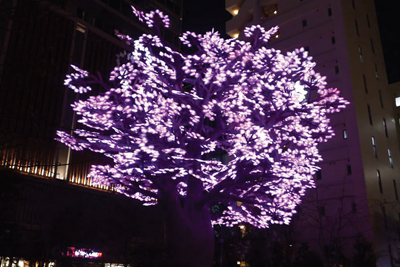 Tree of Light Shimmers With LEDs at Nihombashi Sakura Festival