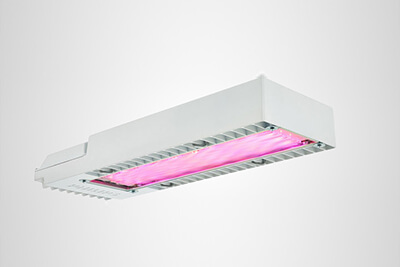 Signify Introduces Innovative Grow Lights