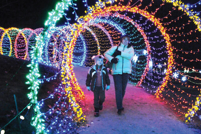 Garden of Lights at Green Bay Lures Visitors with Eye-Catching Display
