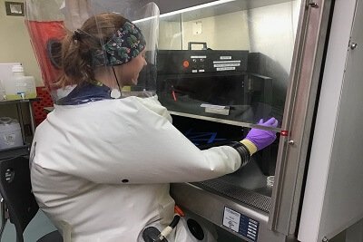 Signify’s UV-C Light Sources Inactivate the Virus that Causes COVID-19