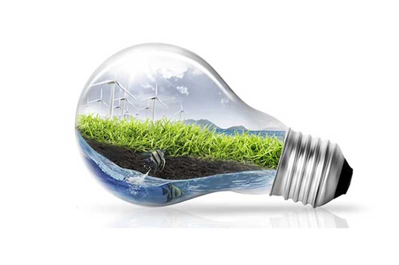 Sustainable Lighting Solutions for Businesses: Reducing Your Carbon Footprint
